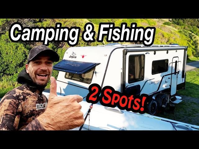 Fishing & Camping in Marlborough - Mussels, Crayfish, Big Pregnant Shark!