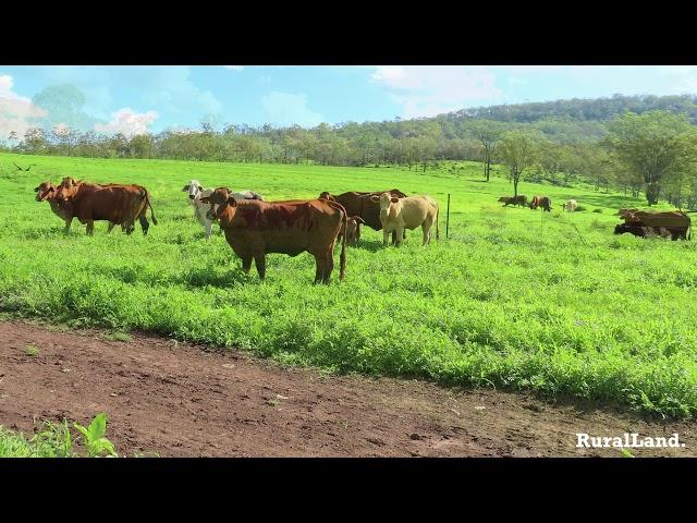 Toowoomba 331 Acres Rural Real Estate For Sale, Grazing, Cultivation Farm. SOLD