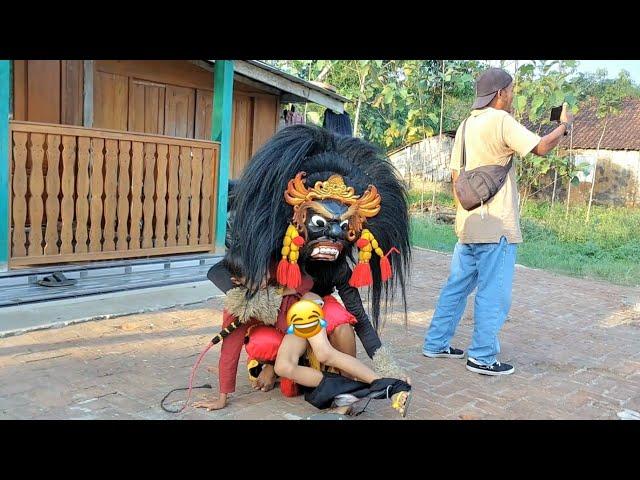 Asli Bikin Ngakak !! Pengejek Ketangkap Barongan Ngamuk Arak arakan Barongan Blora TARUNO ADI JOYO