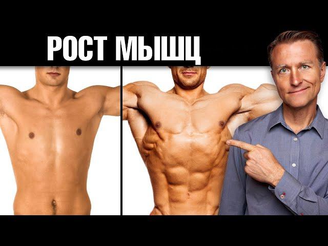 4 неожиданных способа быстро нарастить мышцы 