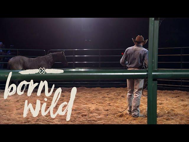 Training A Wild Horse In An Hour | 5pm