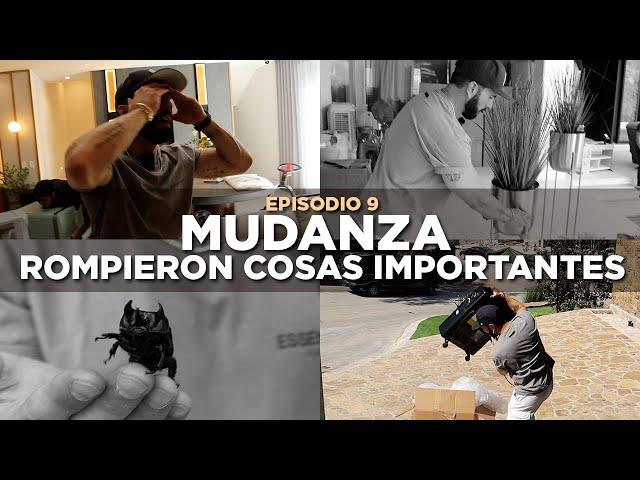 Destruyeron cosas valiosas de la casa | Mudanza EP 9