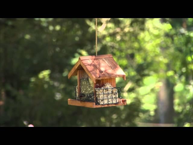 Perky-Pet® Deluxe Chalet Wild Bird Feeder