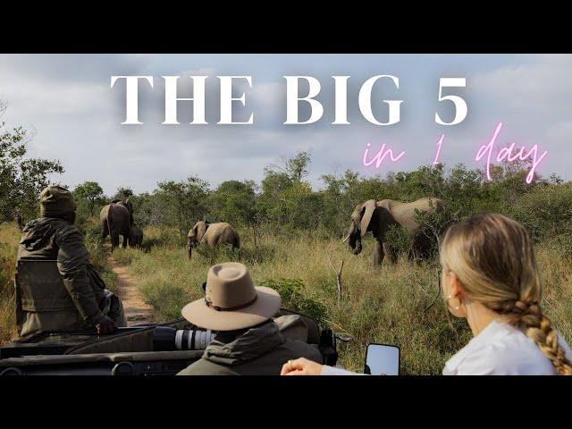 We tried finding the BIG 5 in one day at Royal Malewane, South Africa!