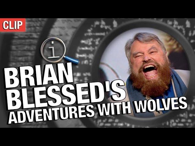 QI | Brian Blessed's Adventures With Wolves