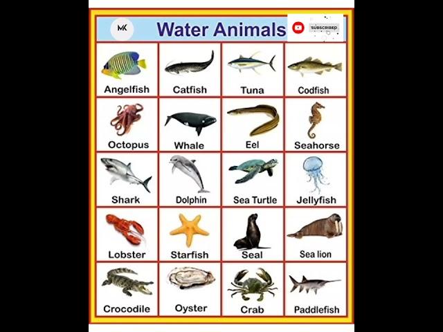 Water Animals Name in English #education #mk #english #animals#shorts