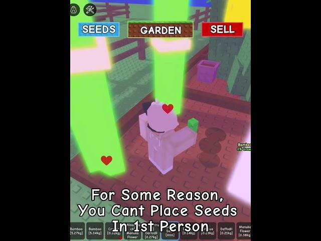 Why Can’t You Place Seeds In First Person? (Grow A Garden)