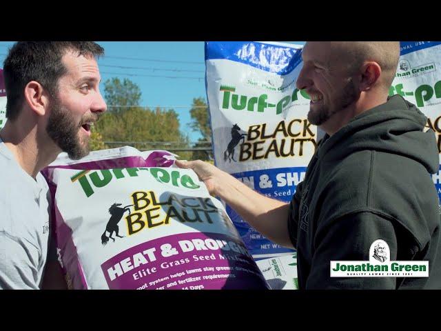 3 Reasons A Black Beauty Lawn Is Healthier & Stronger | Jonathan Green