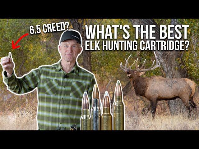 Randy Reacts to Your Elk Hunting Cartridges!