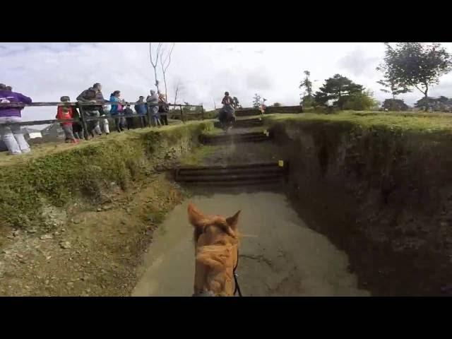 Carlanstown novice hunter trials