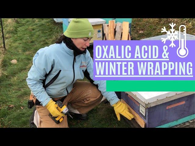 TTP Beeyard Sessions - Oxalic Acid & Winter Wrapping