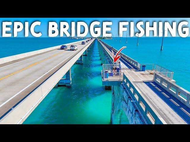 This FLORIDA KEYS Fishing Spot is Way Better Than Seven Mile Bridge!