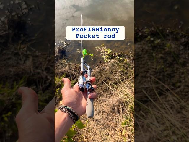 ITS SO SMALL!! #outdoors #hunting #fishing #topwater #fish #fishingvideo