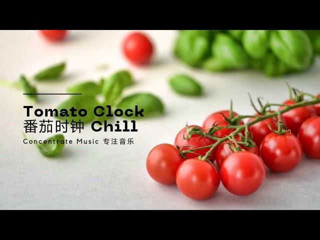 DailyBGM日常 TomatoClock【Concentration Music Chill 番茄时钟 专注音乐】全网最佳的专注音乐心情陪伴 | The Best Productive Music