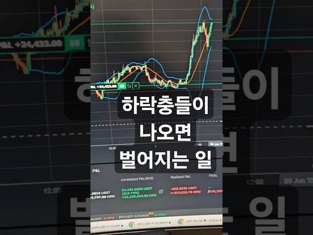 계시를 받았습니다!