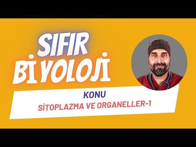 Sitoplazma ve Organeller-1 Sıfır Biyoloji | Dr. Biyoloji