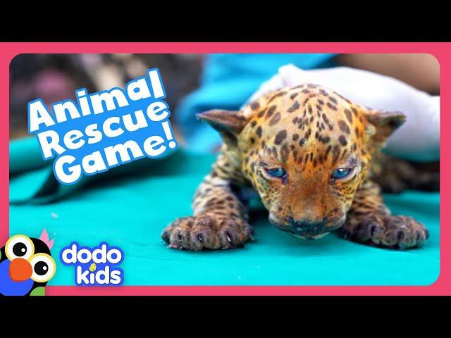 Can YOU Help These Animal Moms Rescue Their Babies? | Dodo Kids | Story Game