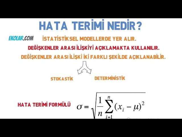 Hata Terimi Nedir?