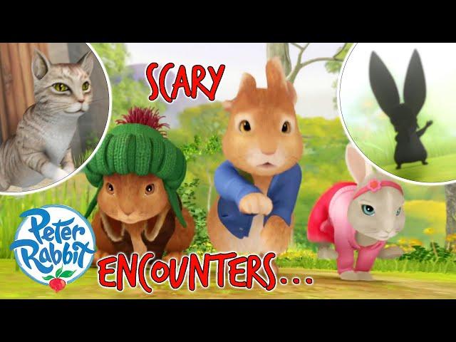 ​@OfficialPeterRabbit - Run as Fast as You Can Rabbits! | Chase Scenes | Scary Villains | Cartoons for Kids