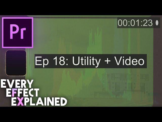 How to use Utility + Video Effects in Adobe Premiere Pro (Every Effect Explained)