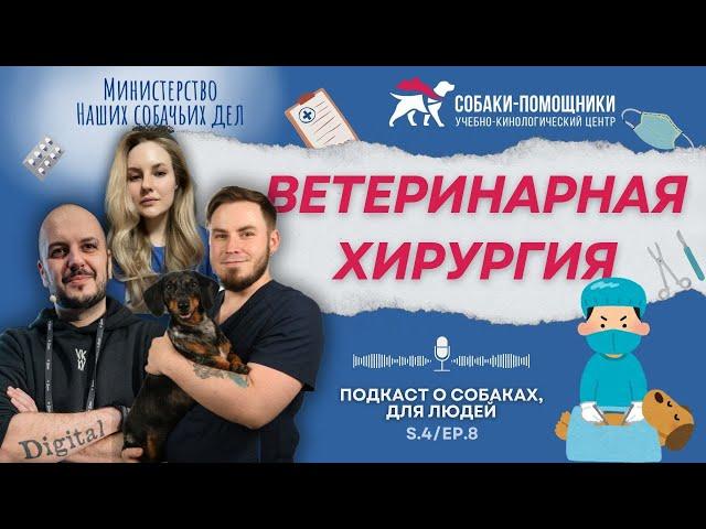 Ветеринарный хирург об операциях и послеоперационном уходе