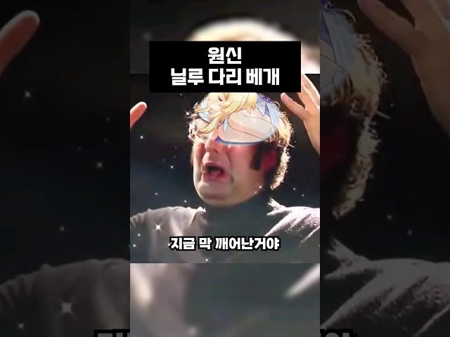 닐루 다리 베개