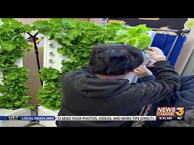 Local elementary students use hydroponics to grow plants