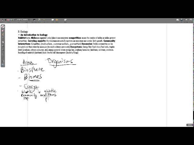 Final Exam Review #1