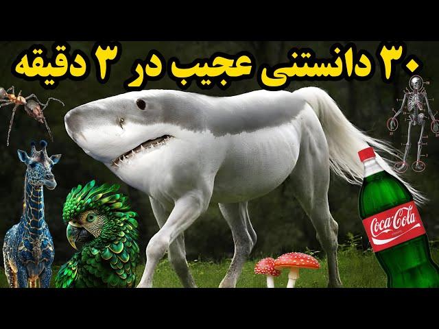 دانستنی های جالب : 30 دانستنی عجیب برای افزایش اطلاعات عمومی در 3 دقیقه