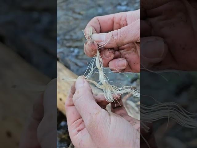 Making a Primitive Candle from natural materials