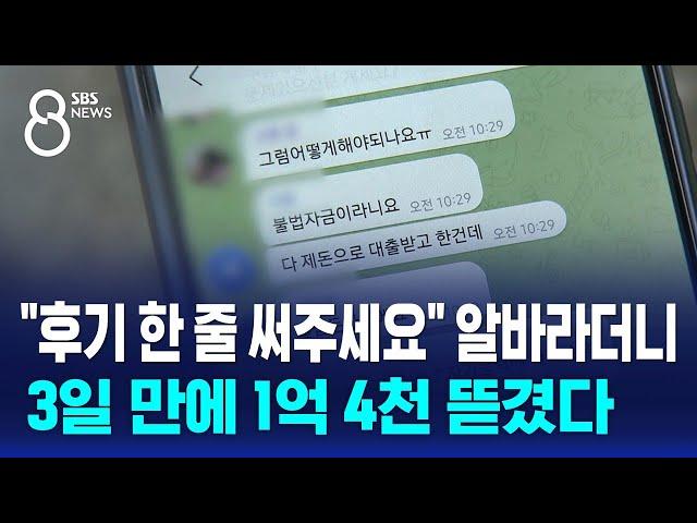 "후기 한 줄 써주세요" 알바라더니…3일 만에 1억 4천 뜯겼다 / SBS 8뉴스