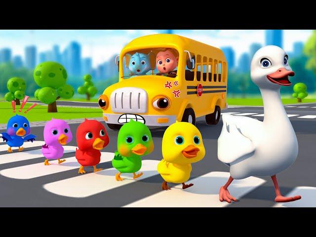 Wheels On The Bus, Wheels Go Rounds And More Nursery Rhymes | CoComelon Nursery Rhymes & Kids Songs