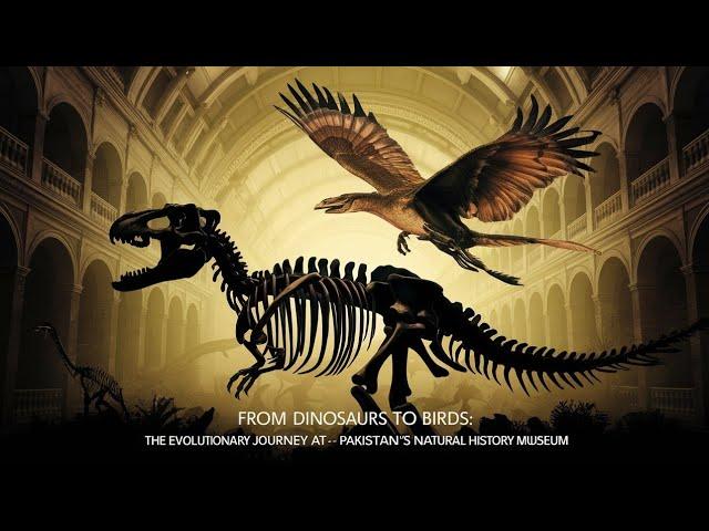 Dinosaur to bird evolution|| Pakistan museum of Natural history  part 3