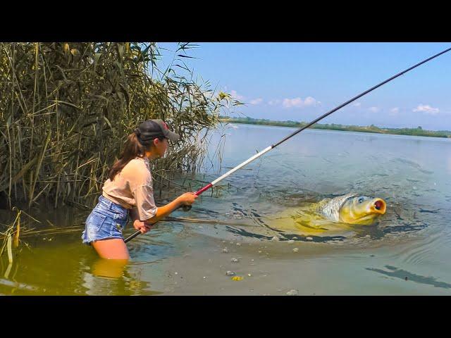 ТАКОГО ВЫ НЕ ВИДЕЛИ! ДИКИЙ САЗАН ЗАТАЩИЛ ДЕВУШКУ В ВОДУ! Сазан на боковой кивок. Рыбалка 2023