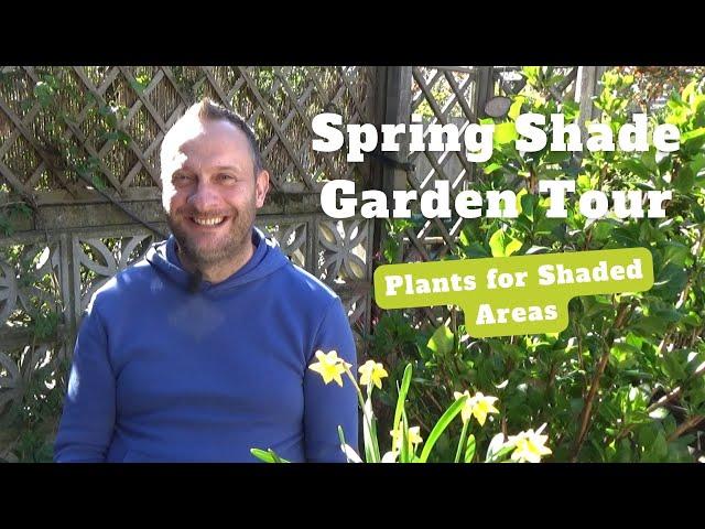 Shade Garden Ideas & Tour | Shade Plants and Flowers | Plants for Shaded Areas | What Grows in Shade