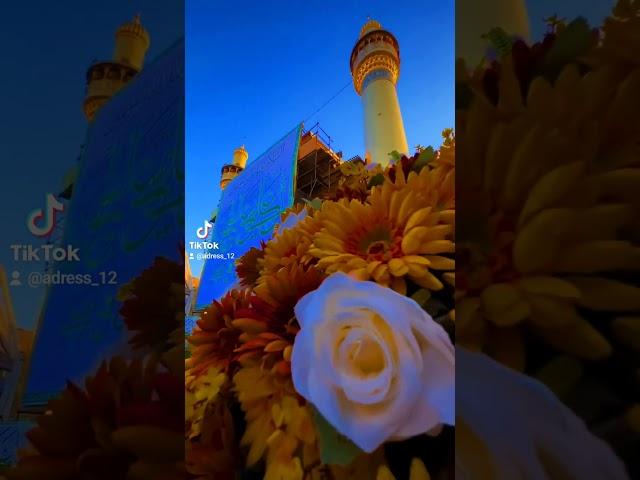 #مواليد اهل البيت ع