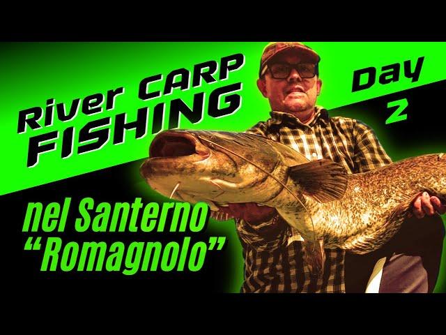 CARP FISHING anzi No... CAT FISHING in Fiume 2023 | Santerno