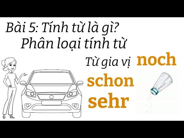 Ngữ pháp tiếng đức A1.1 | Bài 5 | Tính từ trong tiếng đức |  Mít học tiếng đức