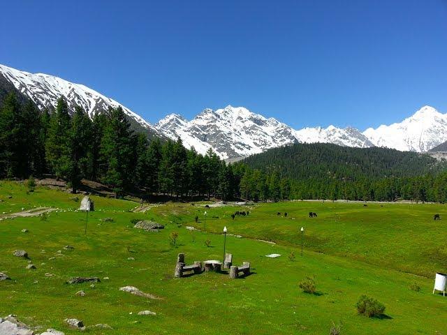 Go wild to see Kalapani Valley Astore, Gilgit-Baltistan Pakistan. Ek baar jo aaye dill