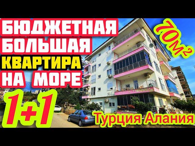 ПРОСТОРНАЯ БЮДЖЕТНАЯ  квартира в Алании В ЦЕНТРЕ недвижимость в Турции НА МОРЕ