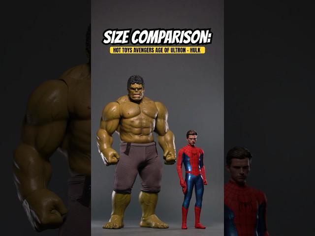 Size Comparison: Hot Toys Marvel Studios Avengers Age of Ultron - Hulk #marvel #hottoys