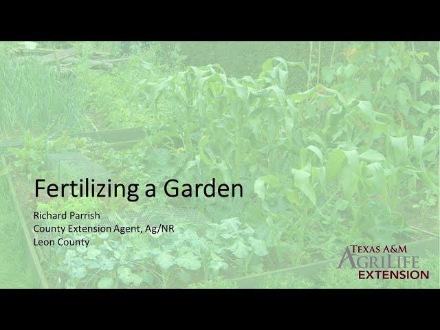 Fertilizing a Vegetable Garden