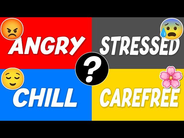 Which Type of Person Are You... Angry, Stressed, Chill or Carefree? 