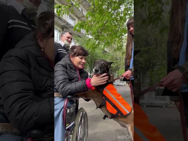 Кинологиня Лариса Борисенко продовжує реабілітацію і зустрілася із своєю собакою Спаркі