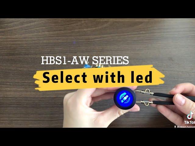 What types of illuminated selector are there? | 22mm led selector switch with 2 position