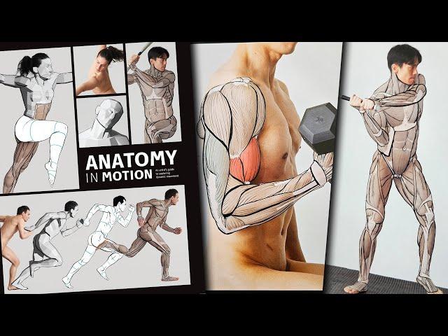 Anatomy in Motionbook review An Artists Guide to Capturing Dynamic Movement 3dtotal publishing