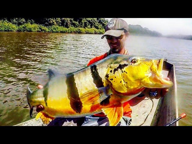 Fishing a HIDDEN LAGOON for GIANT PEACOCK BASS!!