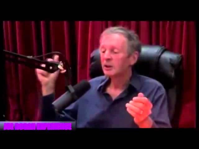 Rupert Sheldrake on the Difference between Darwinism and Neo Darwinism