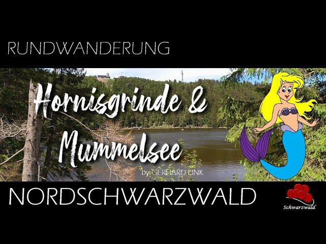 HORNISGRINDE UND MUMMELSEE / DER SCHWARZWALD     