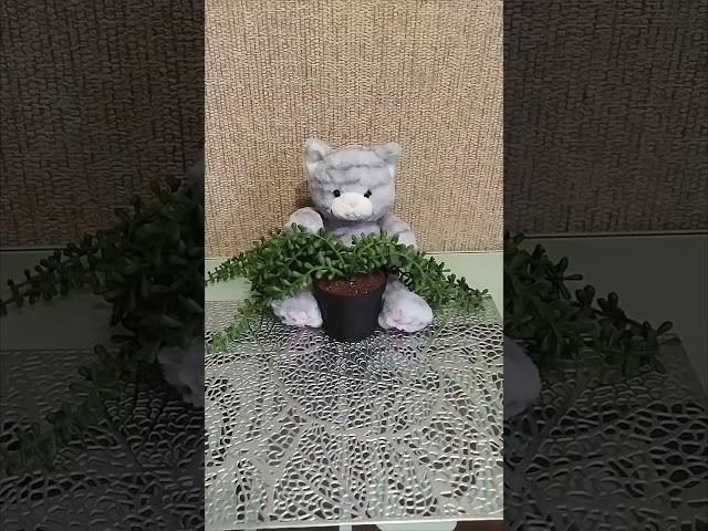 Растение искусственное  #цветыдлядома #искусственный#искусственныецветы #онлайнзаказ#цветынабалконе